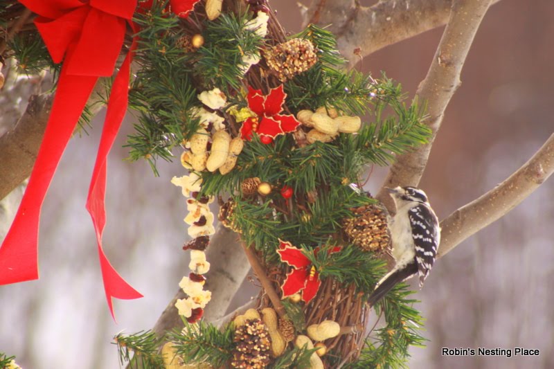 ROBINS NESTING PLACE Winter Bird Food Wreaths